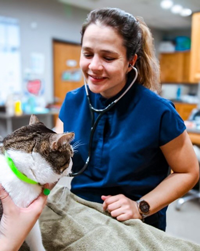 Emergency vet mckinney- Highlands- Eldorado Veterinary Hospital