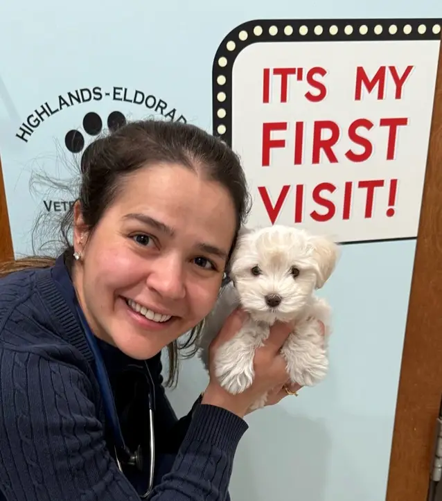 Family Pet Clinic Mckinney- Highlands-Eldorado Veterinary Hospital